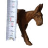 ⁦Vintage Figurine Wooden Donkey Egypt Hand-Carved Home Decor Statue Sculptures⁩ - الصورة ⁦8⁩